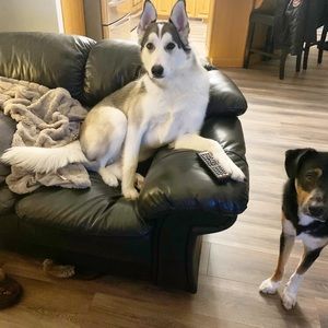 Meet your Posher, Ashley